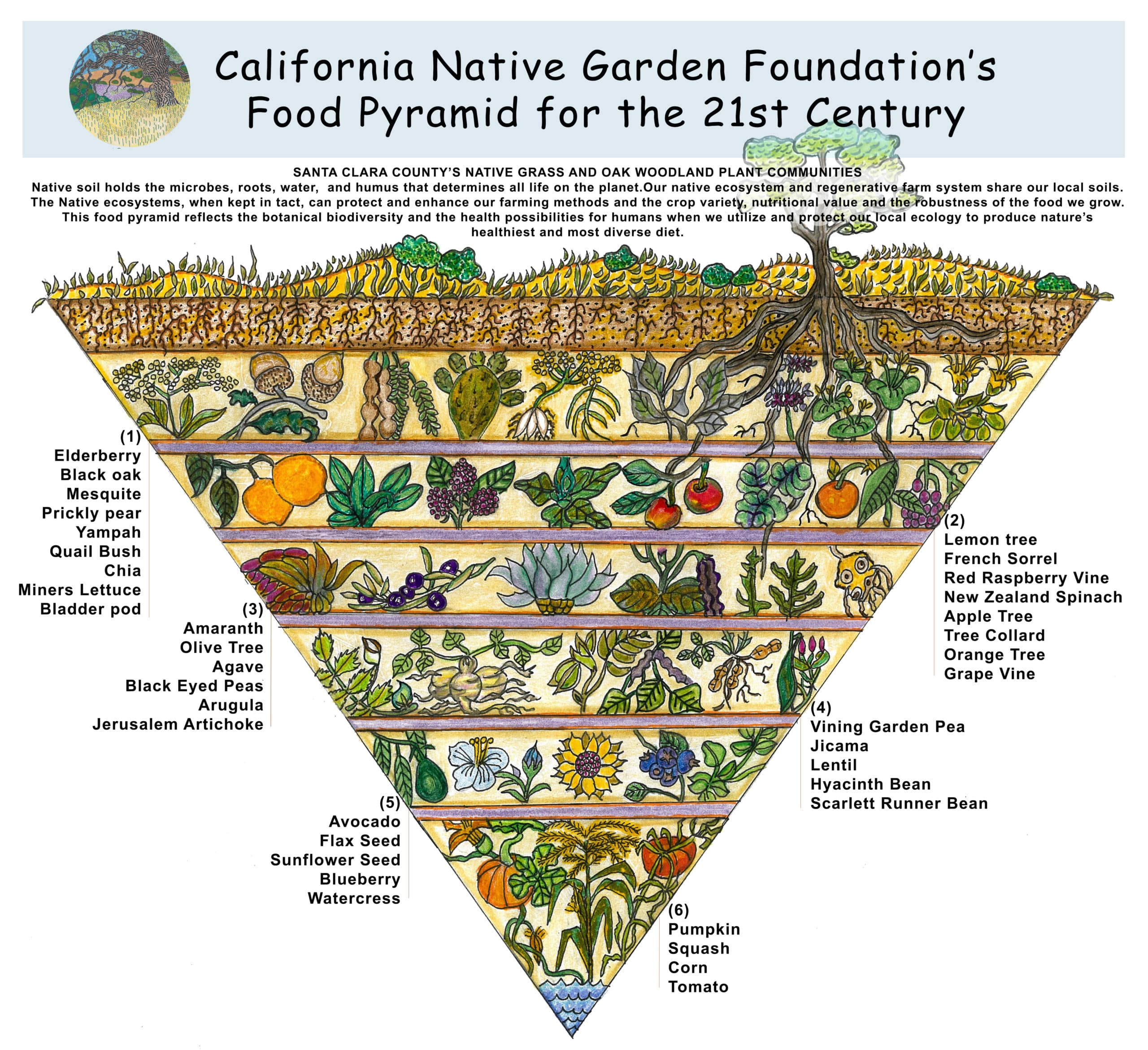 Food Pyramid For The 21st Century California Native Garden Foundation