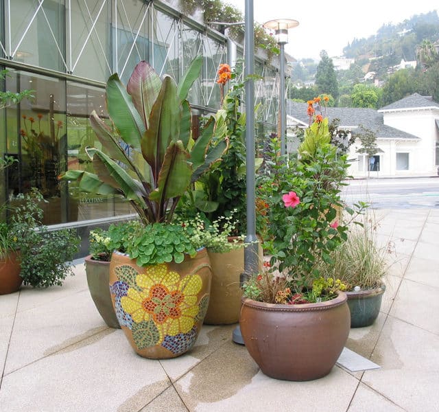 Container garden, mosaic art, West Hollywood