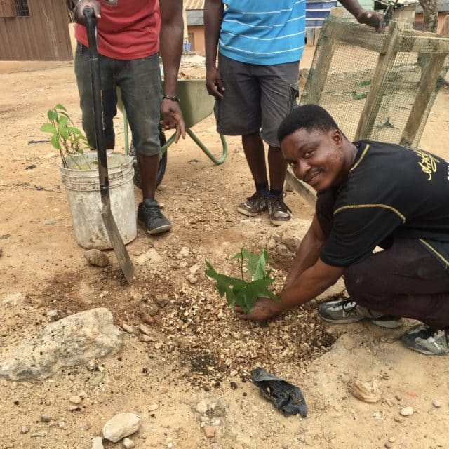 Planting 100 native trees in Yamoransa Ghana