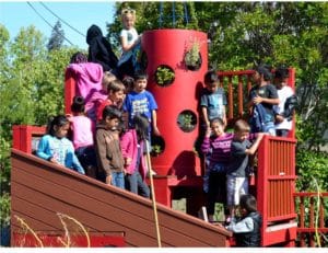 "Big Red" recycles itself & grows its own food. Designed by SCU engr student & Aaron Middlebrook, scientist. Repurposed matls/recycled consumer goods, incl wooden pallets for planters and a playground tube slide for a food tower. Built & maintained by CNGF garden crew.