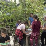 Making Journal Entries at the Aquaponics Farm at ELSEE Teaching Garden