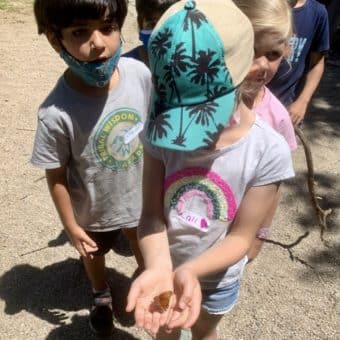 Identifying Butterfly Species at ELSEE Teaching Garden